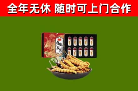 文昌市回收冬虫夏草价格